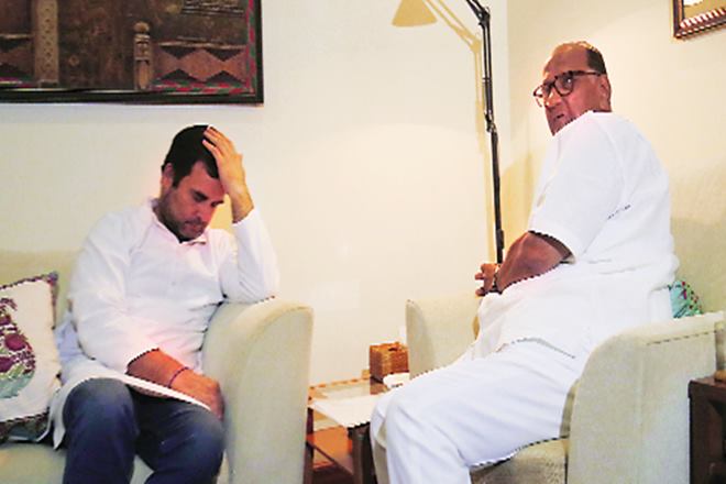 congress, ncp, sharad pawar, lok sabha elections, lok sabha elections 2019