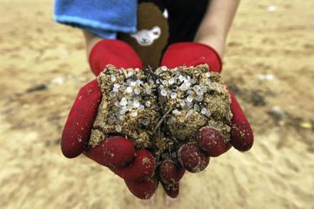 They have been found on some of the world's highest glaciers and at the bottom of the deepest ocean trenches. They have been found on some of the world's highest glaciers and at the bottom of the deepest ocean trenches.