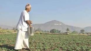 The transfer of fertiliser subsidy directly into farmers' bank accounts was to be taken up in the second phase after taking inputs from Niti Aayog.