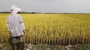 In March 2018, the commerce ministry had released the first draft farm export policy, seeking a stable trade policy regime with limited government interference for key farm items.