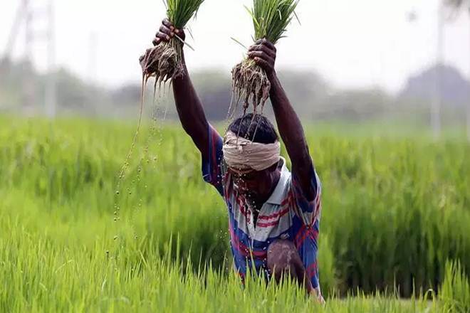 The loan waiver had comprised restructured loans of Rs 2,812 crore, overdue loans of Rs 3,057 crore and incentive for regular loans Rs 720 crore, which farmers had taken from the nationalised banks. The loan waiver had comprised restructured loans of Rs 2,812 crore, overdue loans of Rs 3,057 crore and incentive for regular loans Rs 720 crore, which farmers had taken from the nationalised banks.