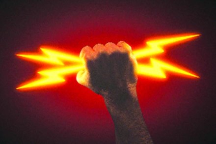 Apart from Punjab and Karnataka, electricity outages in all other major states were shorter in May compared to 2018. 