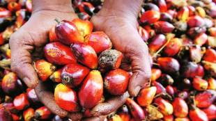 Refiners seek hike in import duty on Malaysian palm oil