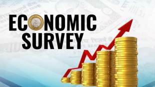 economic survey pdf, economic survey of india