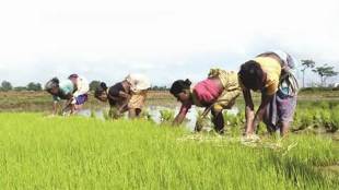 PM KISAN scheme, Narendra Singh Tomar, PM -KiSAN web portal, latest updates on PM KISAN scheme