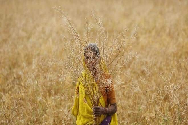 PM Kisan, modi schemes, farmer schemes india, agriculture, agriculture sector, agriculture industry, farmer, PM Kisan scheme, Uttar Pradesh, Election Commission, Aadhaar, BJP, PM Kisan, modi schemes, farmer schemes india, agriculture, agriculture sector, agriculture industry, farmer, PM Kisan scheme, Uttar Pradesh, Election Commission, Aadhaar, BJP,