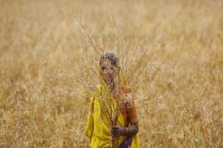 PM Kisan, modi schemes, farmer schemes india, agriculture, agriculture sector, agriculture industry, farmer, PM Kisan scheme, Uttar Pradesh, Election Commission, Aadhaar, BJP, PM Kisan, modi schemes, farmer schemes india, agriculture, agriculture sector, agriculture industry, farmer, PM Kisan scheme, Uttar Pradesh, Election Commission, Aadhaar, BJP,