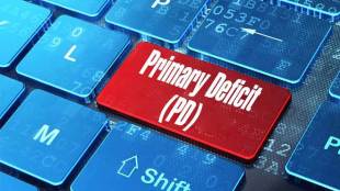 what is primary deficit, primary deficit of India