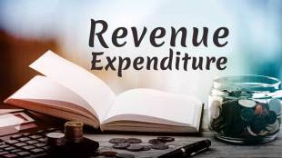 what is revenue expenditure in simple words, revenue expenditure examples