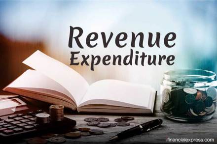 what is revenue expenditure in simple words, revenue expenditure examples