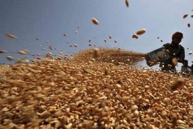 The production of foodgrains (rice, wheat, coarse cereals and pulses) stood at 285.01 MT in the 2017-18 crop year (July-June). The production of foodgrains (rice, wheat, coarse cereals and pulses) stood at 285.01 MT in the 2017-18 crop year (July-June).