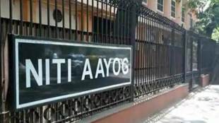 Niti Aayog, DIPAM, CPSE assets, monetisation, Finance Ministry, CPSE disinvestment