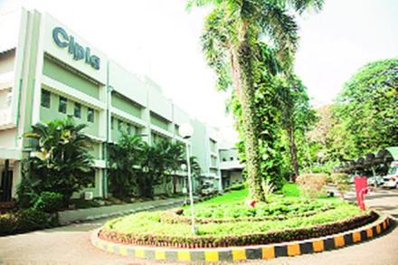 Cipla rating, Cipla shares, Cipla stocks, buy cipla shares, cipla stock buy Cipla rating, Cipla shares, Cipla stocks, buy cipla shares, cipla stock buy