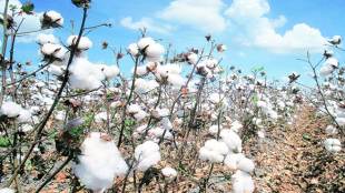 pakistan cut trade ties with india, mfn status, pakistan trade, cotton imports, imports, exports, indo-pak