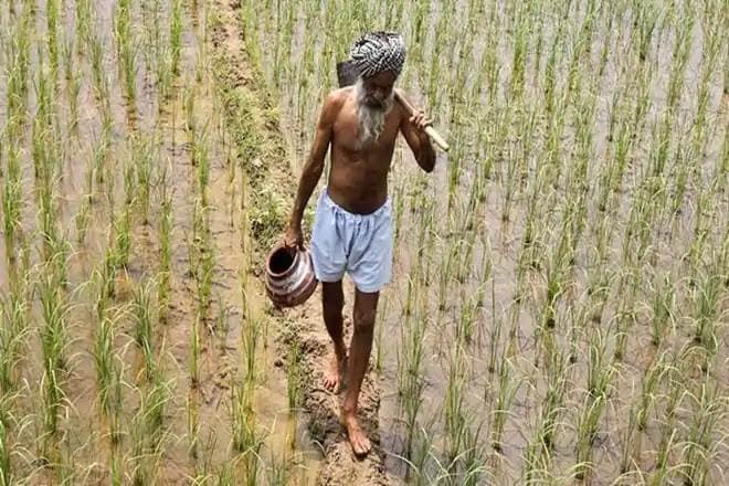 farm distress, agriculture crisis in india, farm distress india, pm kisan, farmer schemes india, Agriculture, poverty reduction , productive agriculture, india agriculture, Growth in agriculture, agriculture in