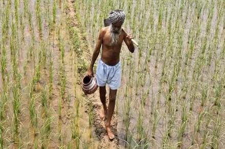 farm distress, agriculture crisis in india, farm distress india, pm kisan, farmer schemes india, Agriculture, poverty reduction , productive agriculture, india agriculture, Growth in agriculture, agriculture in