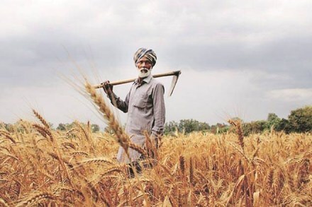 Budget 2019 may focus on long-term agricultural measures to double farmers’ income