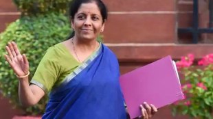 Union Budget 2019, Subsidy, Petroleum Subsidy, Fertiliser Subsidy