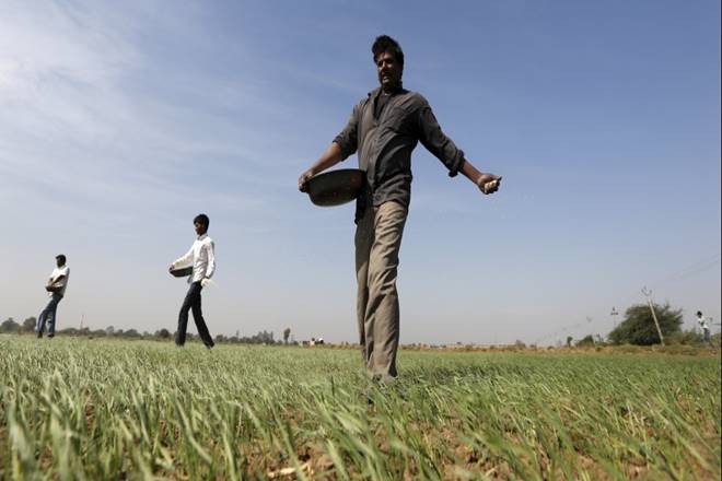 grain production, crop produon, grain production and climate change, crop production and climate change, crop yields and climate change, rice production and climate change grain production, crop produon, grain production and climate change, crop production and climate change, crop yields and climate change, rice production and climate change