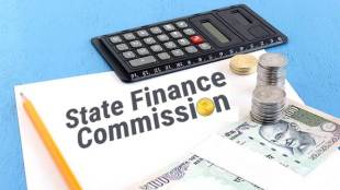 what is the role of state finance commission, who appoints the state finance commission