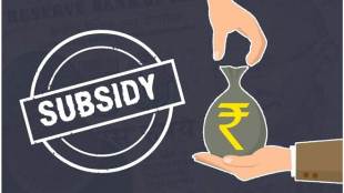 what is the purpose of a subsidy, what is subsidy with example