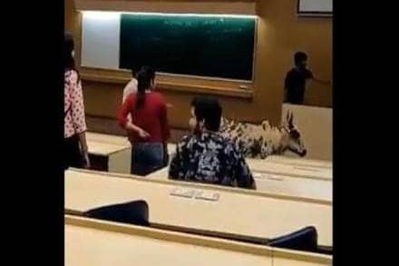 Students also claimed that the animal could have reached the first floor using one of the slopes in the building which connect the various lecture halls. (Image: twittergrab)