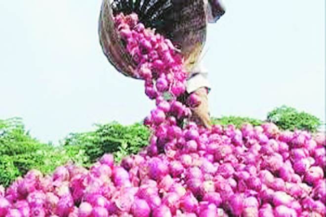 Onion prices are currently on the upward trend with modal prices in the range of Rs 1,350 per quintal with arrivals reported at nearly 12,000 quintals. Onion prices are currently on the upward trend with modal prices in the range of Rs 1,350 per quintal with arrivals reported at nearly 12,000 quintals.
