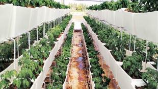 Agiculture, Farming, Artificial Intelligence, PM Modi