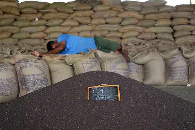 Average farmer’s income in Bihar was recorded the lowest at just Rs 3,558 per month per agricultural household, followed by West Bengal at Rs 3,980. (Bloomberg image)