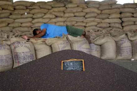 Average farmer’s income in Bihar was recorded the lowest at just Rs 3,558 per month per agricultural household, followed by West Bengal at Rs 3,980. (Bloomberg image)