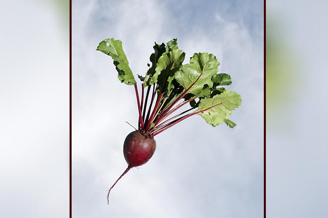 food, fruits, vegetables, food wastage, global hunger index, GHI, malnutrition, cereals, oil seeds, pulses, farmers