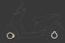 Dual disc brakes with CBS