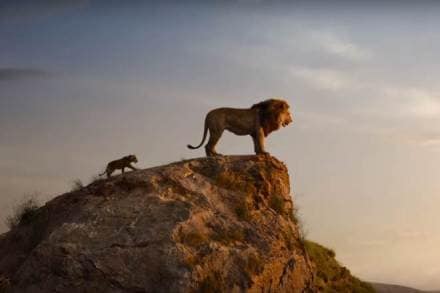 The Lion King, The Lion King 2019, The Lion King 1994 The Lion King, The Lion King 2019, The Lion King 1994