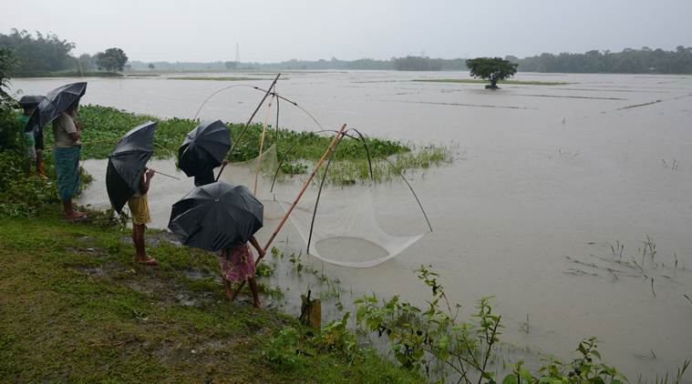 Assam flood, assam flood 2019, assam temperature, assam flood donation, assam flood relief fund, assam flood news, assam flood donation paytm, assam flood relief fund donation, india news
