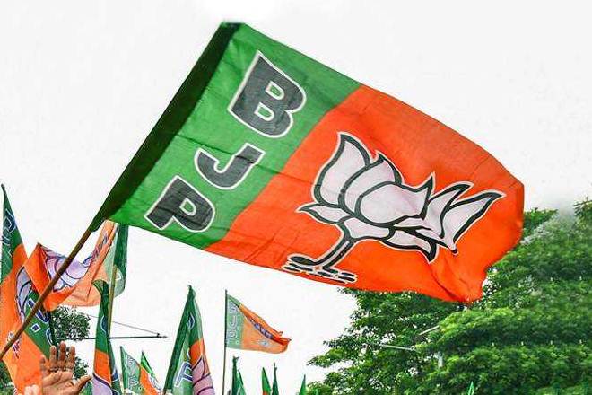 BJP, BJP donation, donation, Association for Democratic Reforms, ADR analysis, india news BJP, BJP donation, donation, Association for Democratic Reforms, ADR analysis, india news