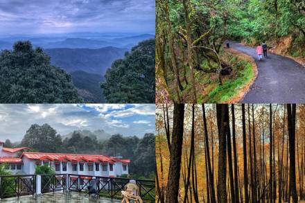 Binsar, Binsar travel, Uttarakhand, Uttarakhand travel, Uttarakhand Binsar, Kumaon travel, Nainital, Almora