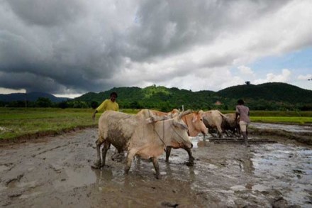 Monsoon ,Rain, Agriculture,