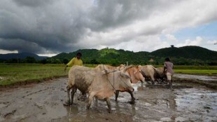 Monsoon ,Rain, Agriculture,