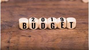 budget 2019 news, budget 2019 expectations
