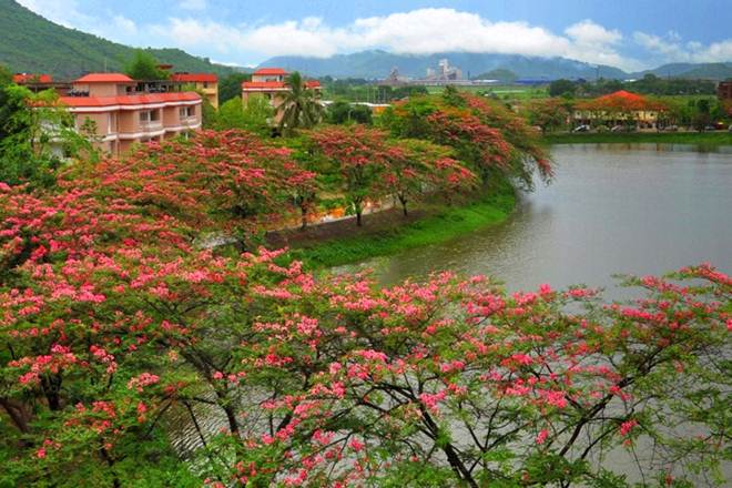 IIT Guwahati, North East, North East states, Class 12, HRD Ministry, education news