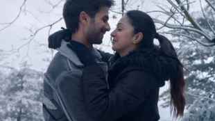 Kabir Singh Box Office