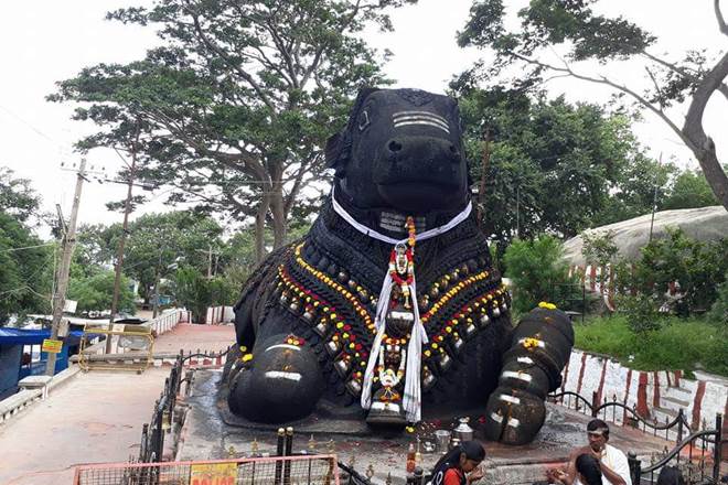 Nandi statue Mysuru