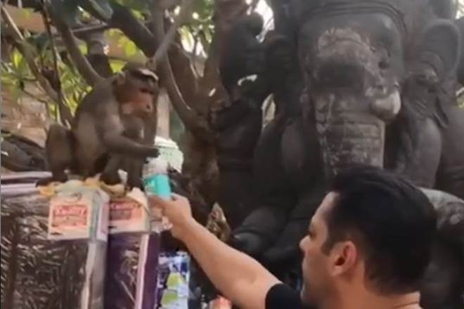 Salman khan offering water to monkey