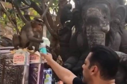 Salman khan offering water to monkey