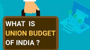 union budget meaning video