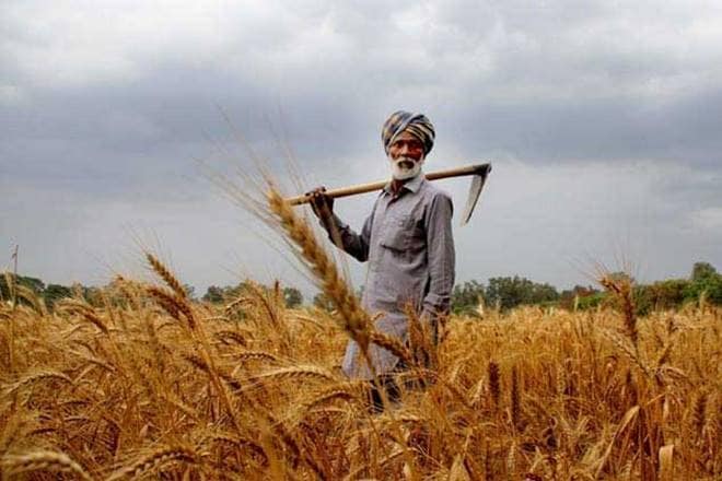 budget 2019, agriculture,farm sector, farm infrastructure, budget 2019 date, budget 2019 pdf, budget 2019 date july, budget 2019, budget 2019 updates, Nirmala Sitharaman, budget live, Budget, Union Budget 2019, Budget 2019 LIVE, live budget, finance minister of india, Budget highlights, Budget 2019 Highlights, Budget live streaming