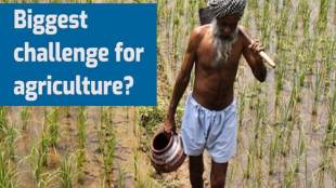 budget 2019 agriculture