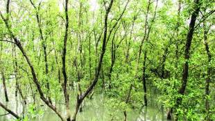 books by Amitav Ghosh, Amitav Ghosh books, Amitav Ghosh novels, Amitav Ghosh amazon, Gun Island Book Review, Gun Island Amitav Ghosh