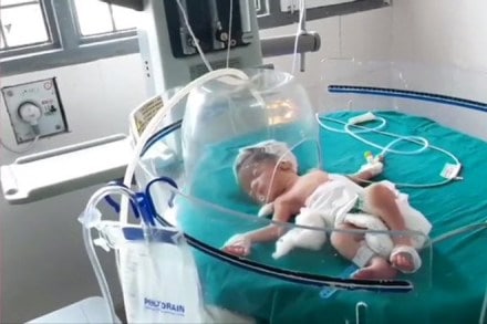 baby girl, baby found in garbage, pihu baby viral video, baby viral video, girl found in garbage, vinod kapri twitter, baby found viral video baby girl, baby found in garbage, pihu baby viral video, baby viral video, girl found in garbage, vinod kapri twitter, baby found viral video