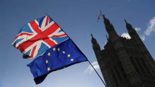 UK business chief, Carolyn Fairbairn, Brexit, business lobby, world news